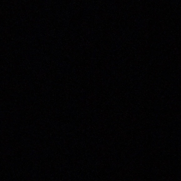 Meet your Posher, Ethan - Picture 1 of 1